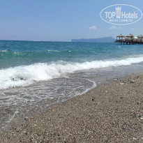 фото из отзыва ID 2284466