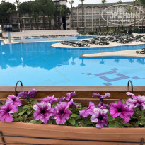 фото из отзыва ID 2285239