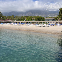 фото из отзыва ID 2285265