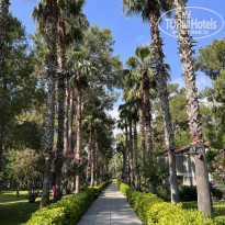 фото из отзыва ID 2285265