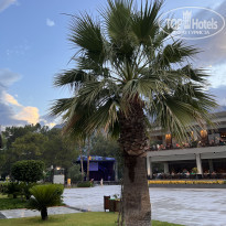 фото из отзыва ID 2285265