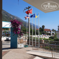 фото из отзыва ID 2285388