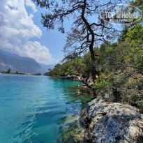 фото из отзыва ID 2285388