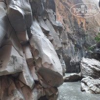 фото из отзыва ID 2285388