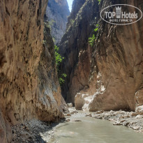 фото из отзыва ID 2285388