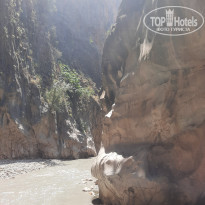 фото из отзыва ID 2285388