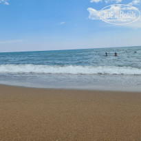 фото из отзыва ID 2284150