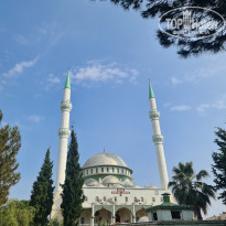 фото из отзыва ID 2284150