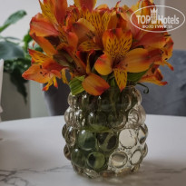 фото из отзыва ID 2285489