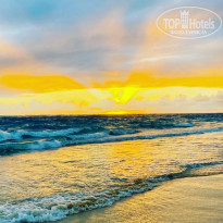 фото из отзыва ID 2285515