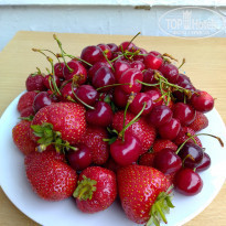 фото из отзыва ID 2285525