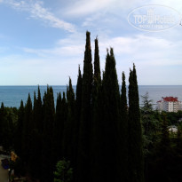 фото из отзыва ID 2285525