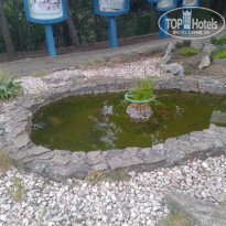 фото из отзыва ID 2285525