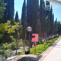 фото из отзыва ID 2285525