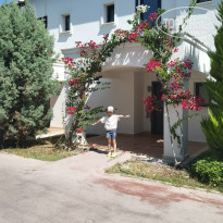 фото из отзыва ID 2285535