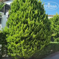 фото из отзыва ID 2285535