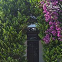 фото из отзыва ID 2285535