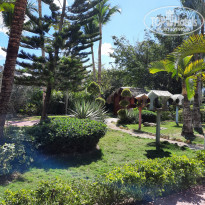 фото из отзыва ID 2285565