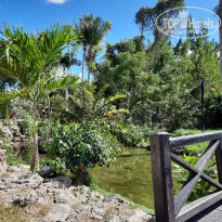 фото из отзыва ID 2285565