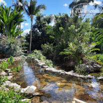 фото из отзыва ID 2285565