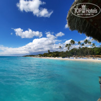 фото из отзыва ID 2285565