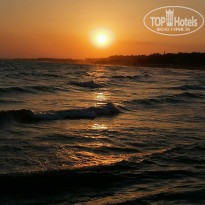 фото из отзыва ID 2285568