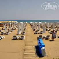 фото из отзыва ID 2285568