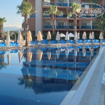 фото из отзыва ID 2285649