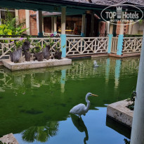 фото из отзыва ID 2285467