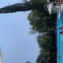 фото из отзыва ID 2285730