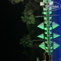 фото из отзыва ID 2285730