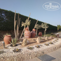 фото из отзыва ID 2285795