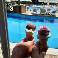 фото из отзыва ID 2285825