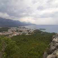 фото из отзыва ID 2285825