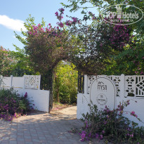 фото из отзыва ID 2285840