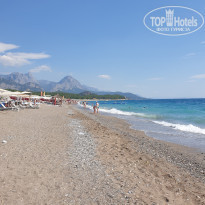 фото из отзыва ID 2285840