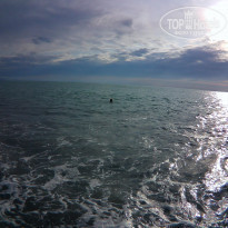 фото из отзыва ID 2285879