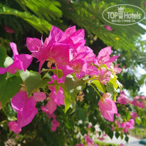 фото из отзыва ID 2285966