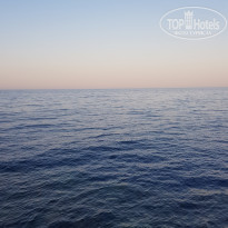 фото из отзыва ID 2285966