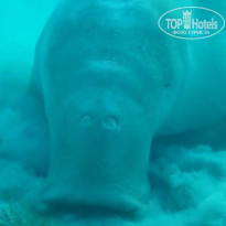 фото из отзыва ID 2285966