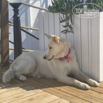 фото из отзыва ID 2285973