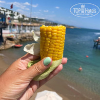 фото из отзыва ID 2285973