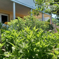 фото из отзыва ID 2286035