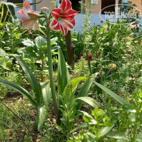 фото из отзыва ID 2286035