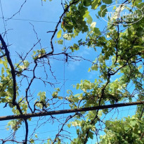 фото из отзыва ID 2286035