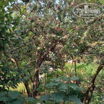 фото из отзыва ID 2286035