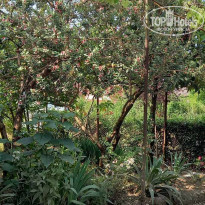 фото из отзыва ID 2286035