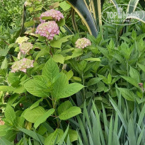 фото из отзыва ID 2286035