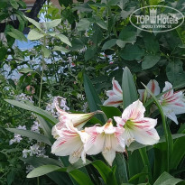 фото из отзыва ID 2286035