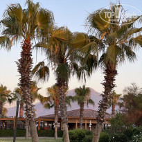 фото из отзыва ID 2286073